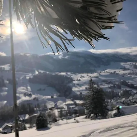 Dom wakacyjny Hoeckli By Interhome Wildhaus