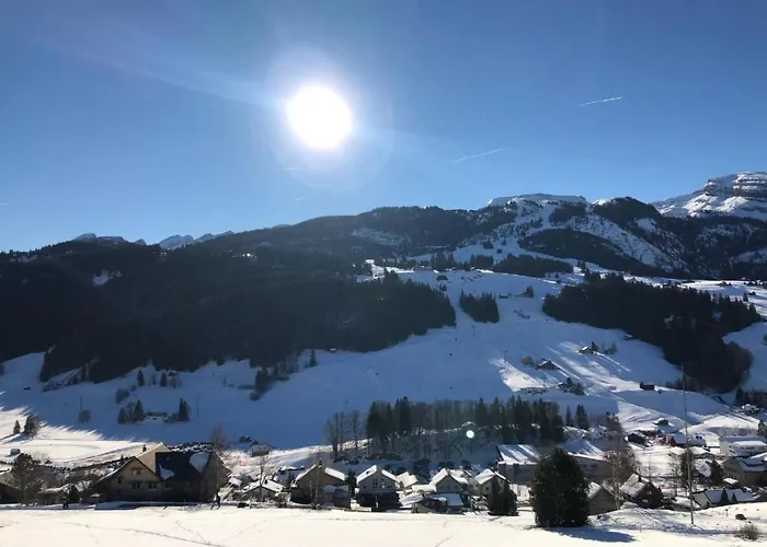 Hoeckli By Interhome Ferienhaus Wildhaus