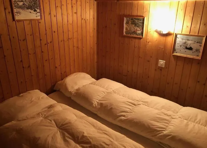 Hoeckli By Interhome Wildhaus